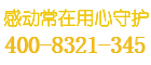 远洋保险柜